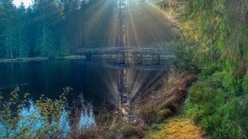 Morgensonne