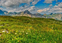 Alpweide ob Melchsee-Frutt (Richtung Norden)
