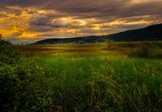 Auf der St. Petersinsel am Abend