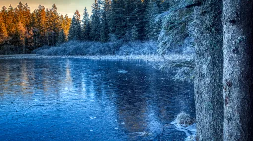 Winterstimmung II