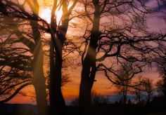 Später Nachmittag am Mont Croisin