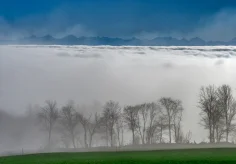 Nebelgrenze am Chasseral