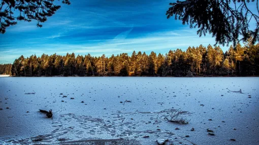 Winterstimmung III
