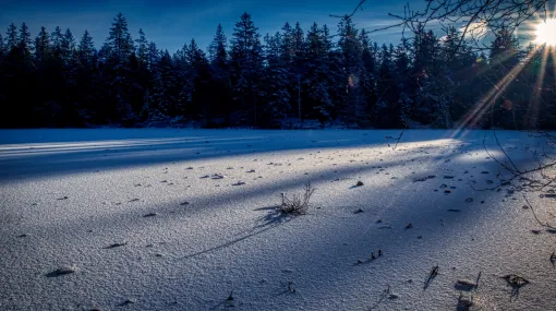 Winterstimmung IV