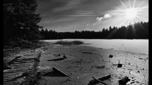 Winterszene am Etang de la Gruère