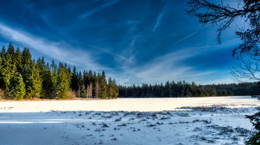 Winterstimmung V