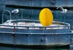 Leserfoto des Tages vom 8. Februar im BT