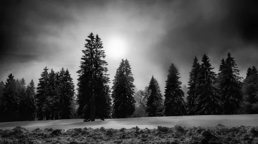 Hinter dem Nebel drängt die Sonne