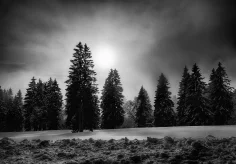 Hinter dem Nebel drängt die Sonne