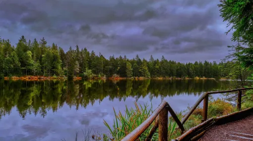 Etang de la Gruère im Oktober