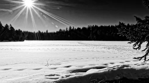 Winter II