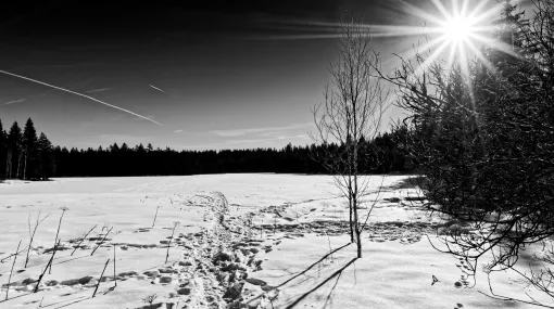 Winter III