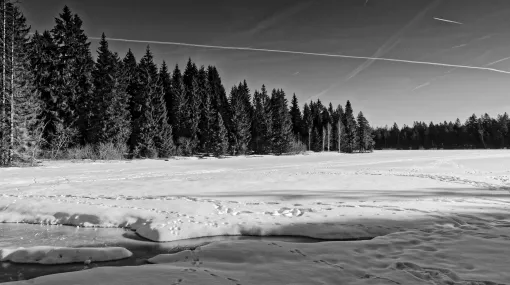 Winter I