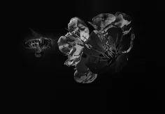 Eine aus der Arbeiterklasse