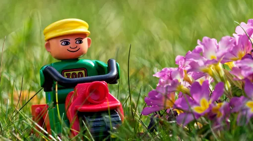 Leserfoto des Tages vom 3. April im BT