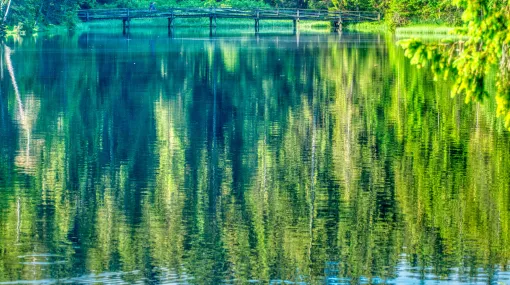 Die Brücke