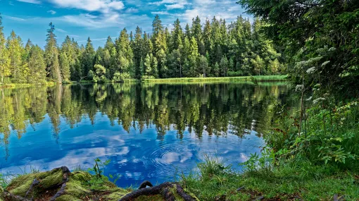 Friedliche Stille in Grün und Blau