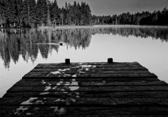 War da jemand? Am Etang de la Gruère