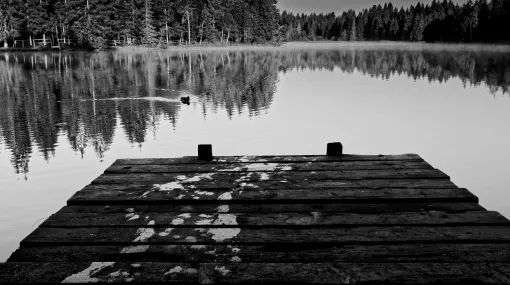 War da jemand? Am Etang de la Gruère
