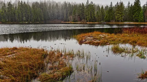 November am Etang