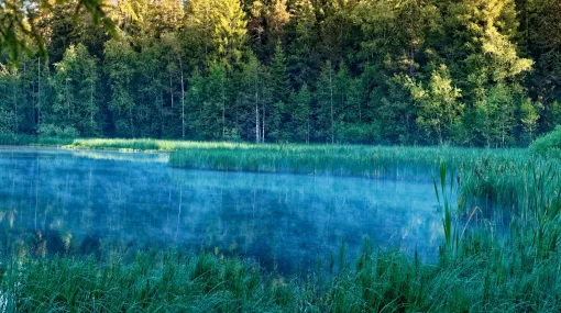 Leichter Nebel