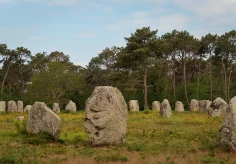 Menhire in Carnac