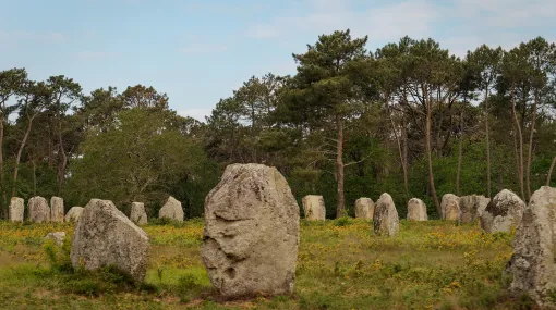 Menhire in Carnac