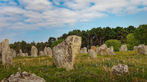 Noch mehr Menhire in Carnac