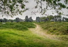 Menhir-Gruppe bei Carnac in der Bretagne