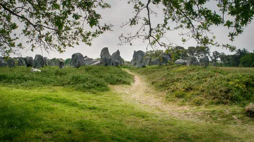 Menhir-Gruppe bei Carnac in der Bretagne