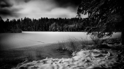 Wintermorgen am Ufer
