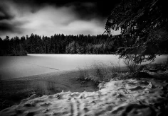 Wintermorgen am Ufer