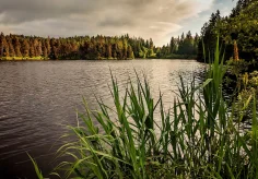 Friedliche Stimmung am Etang