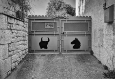 Achtung vor dem Hund