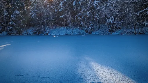 Frühe Wintersonne