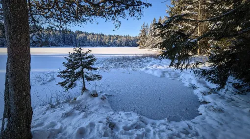 Wintermorgen