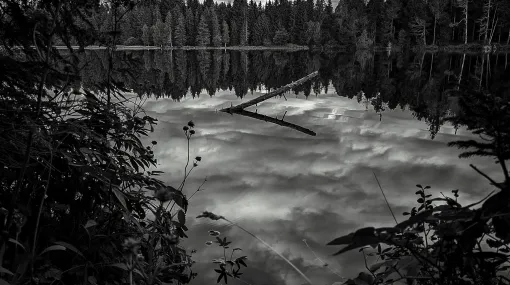 Spiegelung II