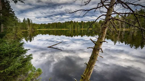 Spiegelung