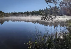 Wasserdampf über dem Etang
