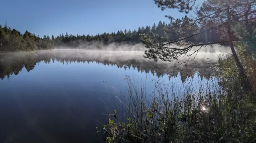 Wasserdampf über dem Etang