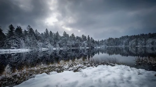 Mystischer Morgen am Etang