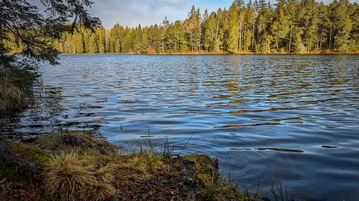 Wind kräuselt das Wasser