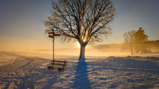 Sonnenschein in der Kälte