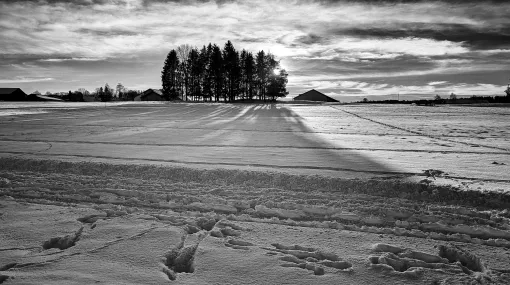 Winter im Gegenlicht