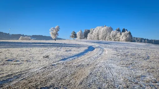 Winterfrost