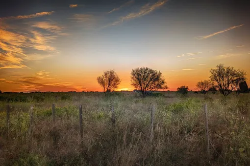Vor dem Sonnenaufgang