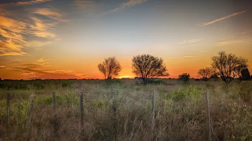 Vor dem Sonnenaufgang
