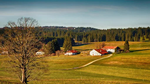 In der Nähe von Chaux-de-Tramelan