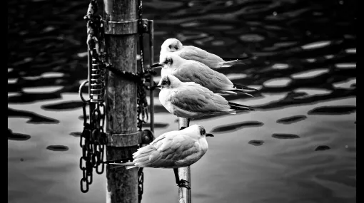 3 und 1