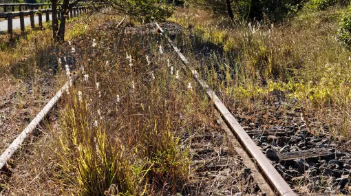 Stillgelegte Bahnstrecke in Vauvert